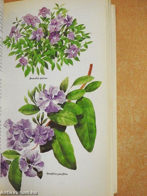 The Hamlyn Guide to House Plants