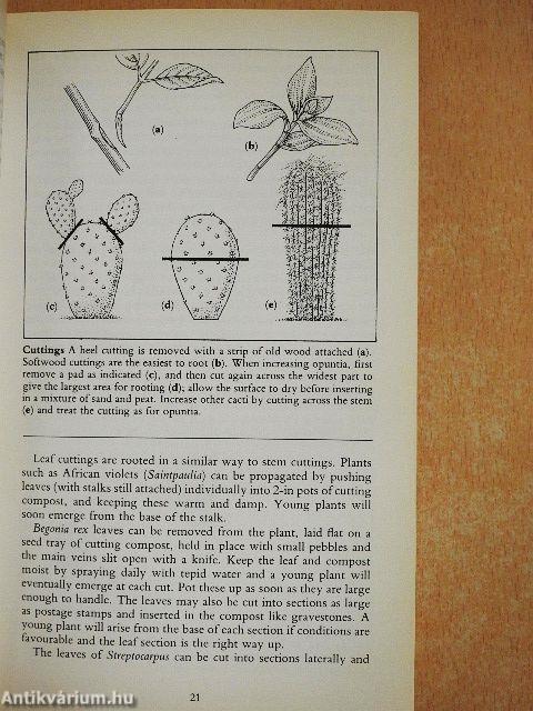 The Hamlyn Guide to House Plants