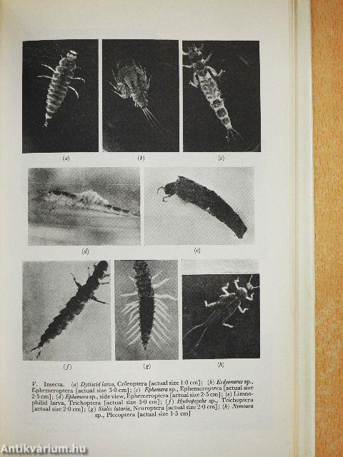 River Pollution 1-3.