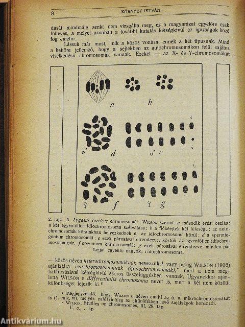 Természettudományi Közlöny 1921. január-december/Pótfüzetek a Természettudományi Közlönyhöz 1921. január-december