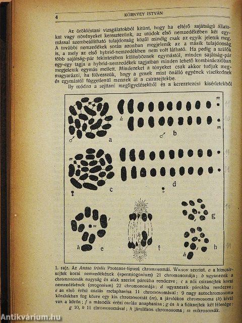 Természettudományi Közlöny 1921. január-december/Pótfüzetek a Természettudományi Közlönyhöz 1921. január-december