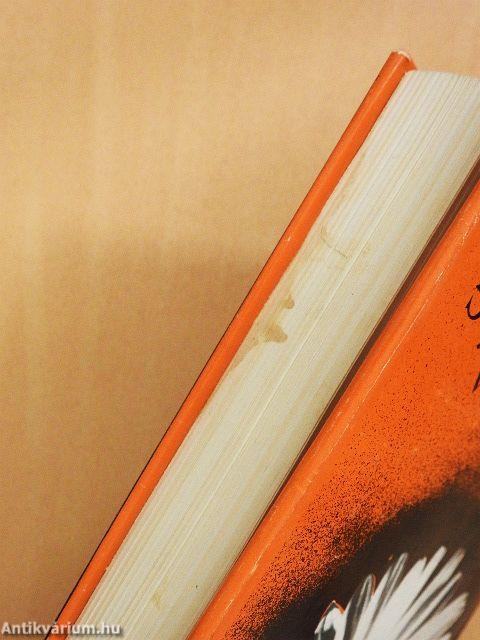 Gyermekvilág Esztelneken