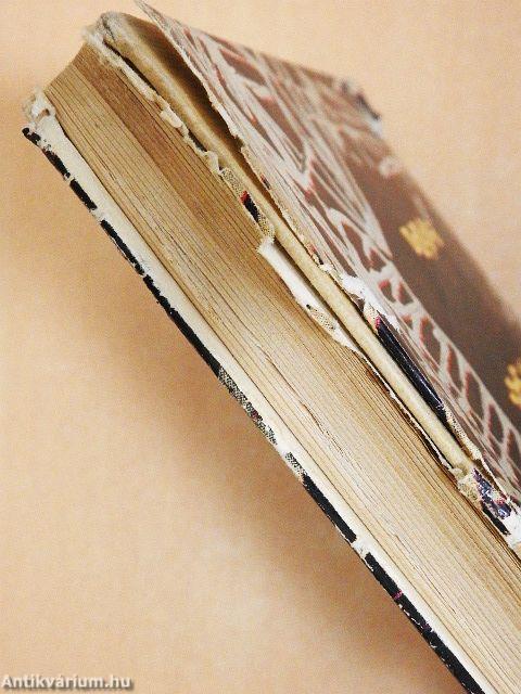 A dzsungel előtt meghal a szél