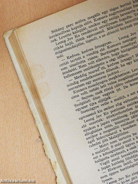 A dzsungel előtt meghal a szél