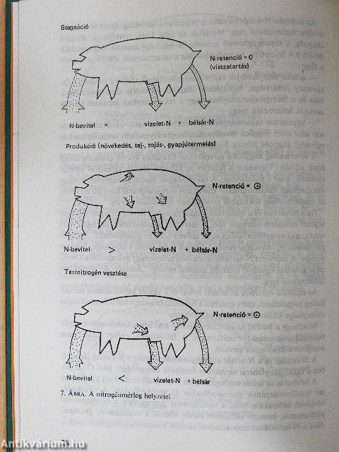 A takarmányfehérjék minősítése