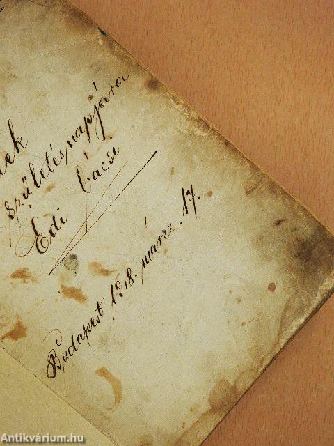 Farkas Pál önkéntes naplója