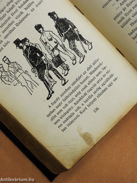 Farkas Pál önkéntes naplója