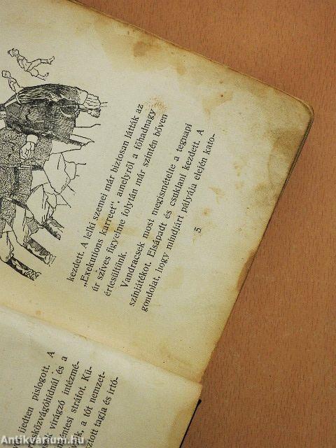 Farkas Pál önkéntes naplója