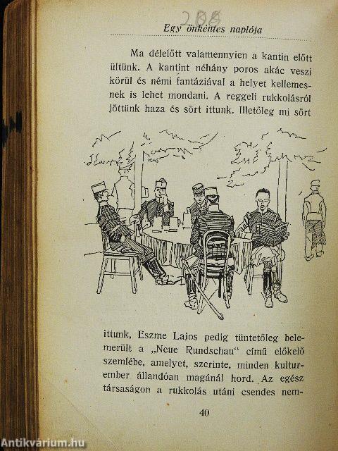 Farkas Pál önkéntes naplója