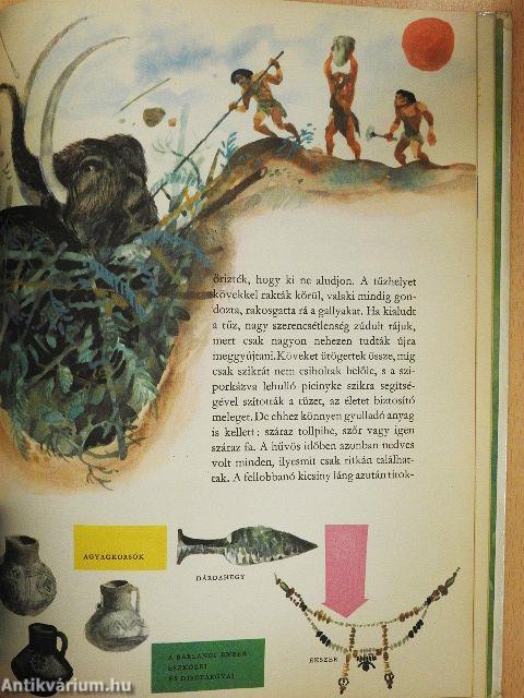 Az élet útja a Földön