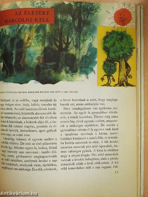 Az élet útja a Földön