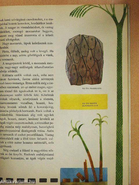 Az élet útja a Földön