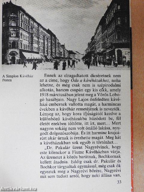 Így élt Nagy Lajos