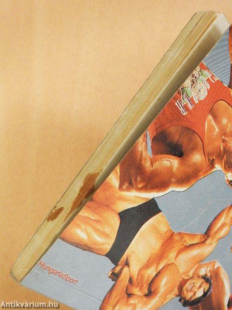 A body building királyai