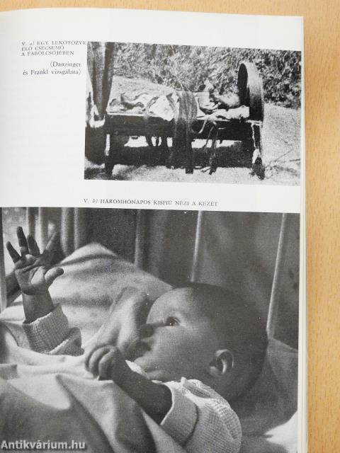 Gyermeklélektan (dedikált példány)