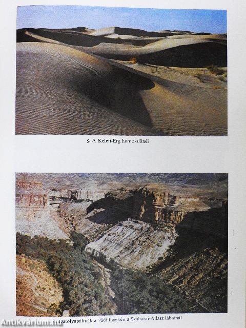 Fények a Szaharában