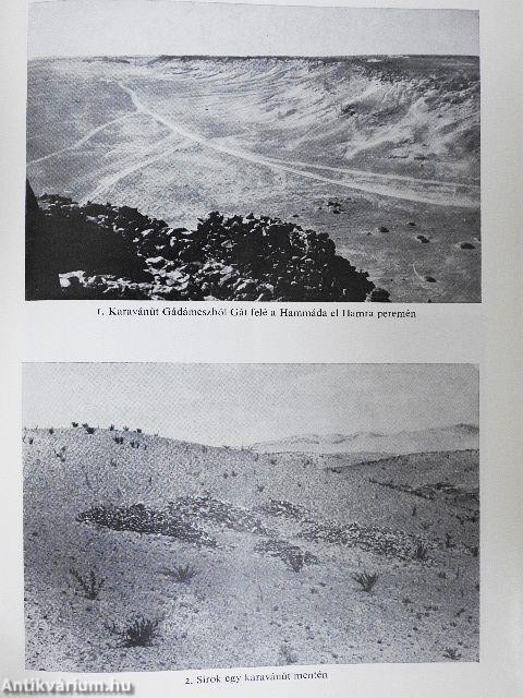 Fények a Szaharában