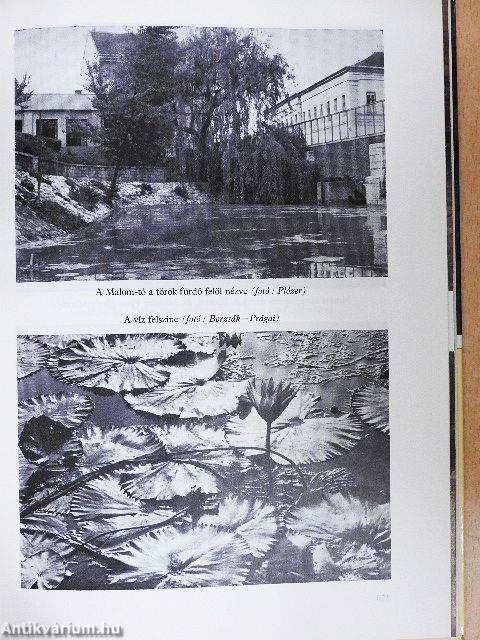 Barlangok útjain, vizein