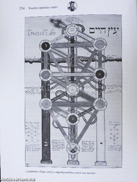 Nostradamus - Próféták és látnokok