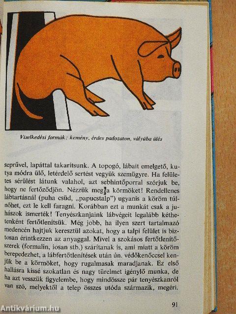 Szakértelemmel több sertéshús