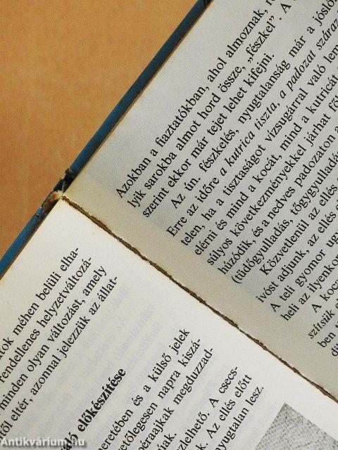 Szakértelemmel több sertéshús