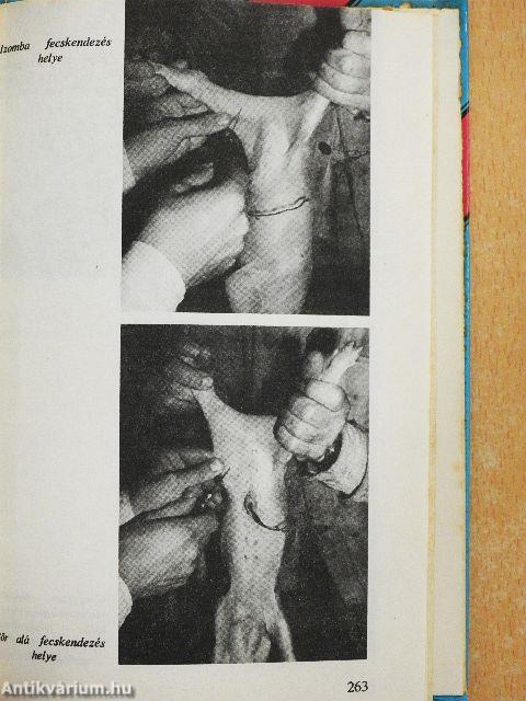 Szakértelemmel több sertéshús