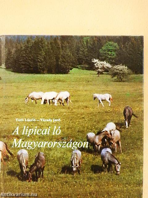 A lipicai ló Magyarországon