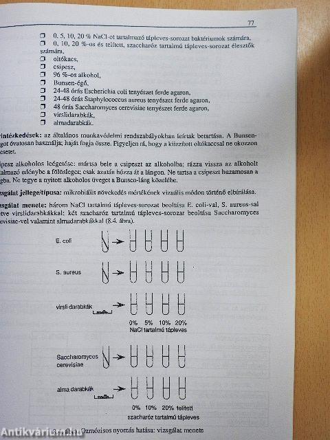 Mikrobiológia - higiéné 3.