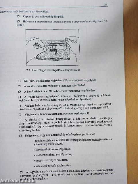 Mikrobiológia - higiéné 3.