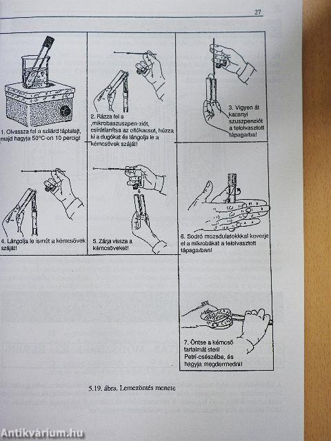 Mikrobiológia - higiéné 3.
