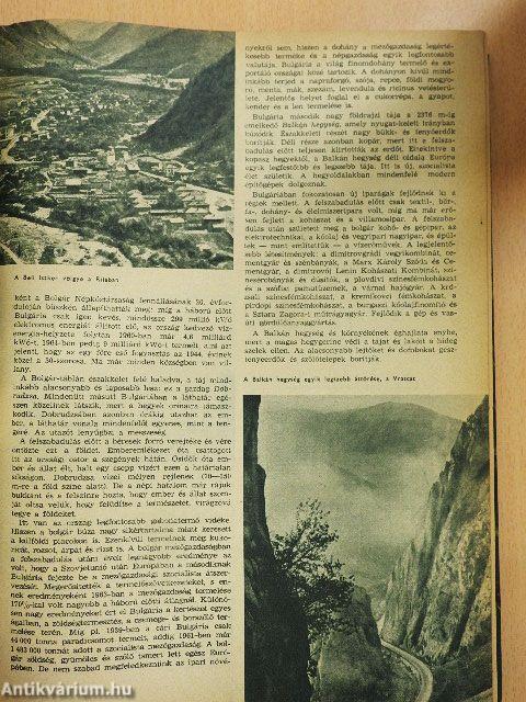 Természettudományi Közlöny 1965. január-december