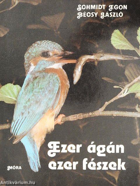 Ezer ágán ezer fészek