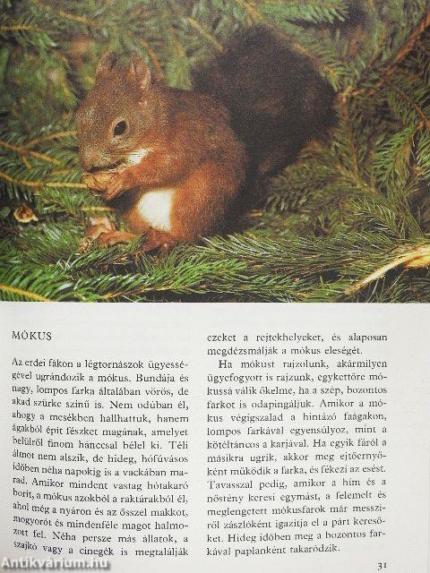 Ezer ágán ezer fészek