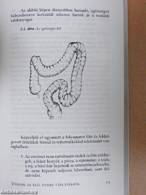 Élő ételek az egészségért