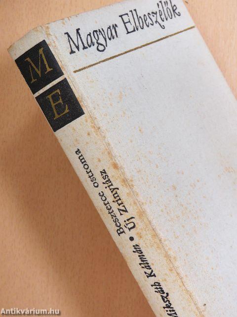 Beszterce ostroma/Új Zrínyiász