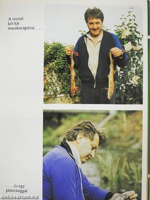 Írország két arca