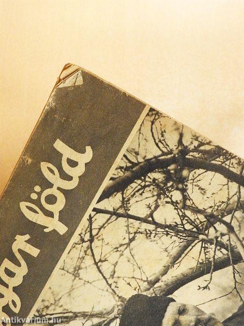 Magyar föld 1943. május 13