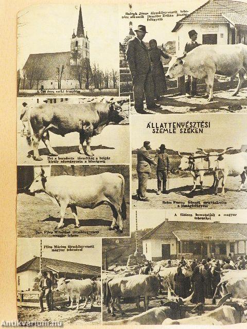 Magyar föld 1943. május 13