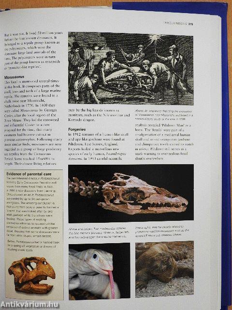 The Complete Illustrated Guide to Minerals, Rocks & Fossils of the World