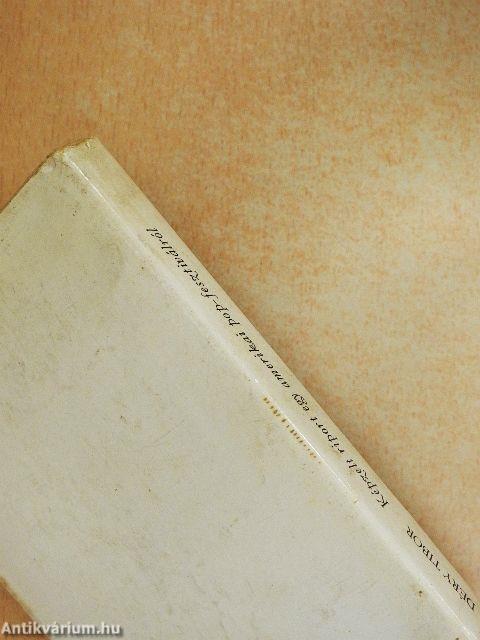 Képzelt riport egy amerikai pop-fesztiválról