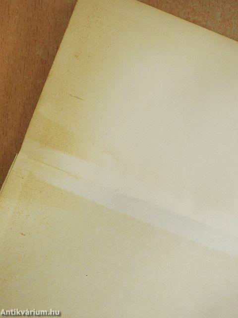 Képzelt riport egy amerikai pop-fesztiválról