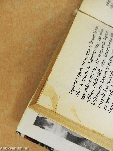 Képzelt riport egy amerikai pop-fesztiválról