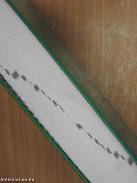 Olasz-magyar kisszótár