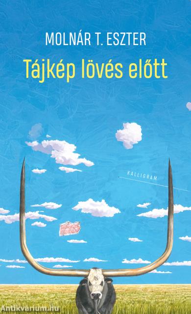 Tájkép lövés előtt