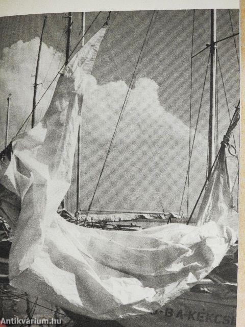 Üdülünk, fényképezünk a Balatonnál