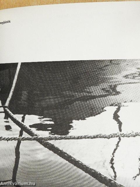 Üdülünk, fényképezünk a Balatonnál