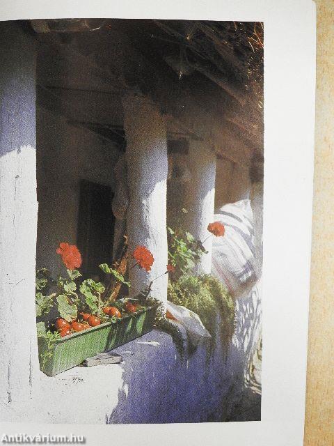 Üdülünk, fényképezünk a Balatonnál