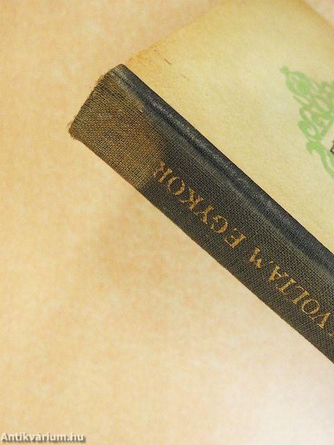 Ez mind én voltam egykor