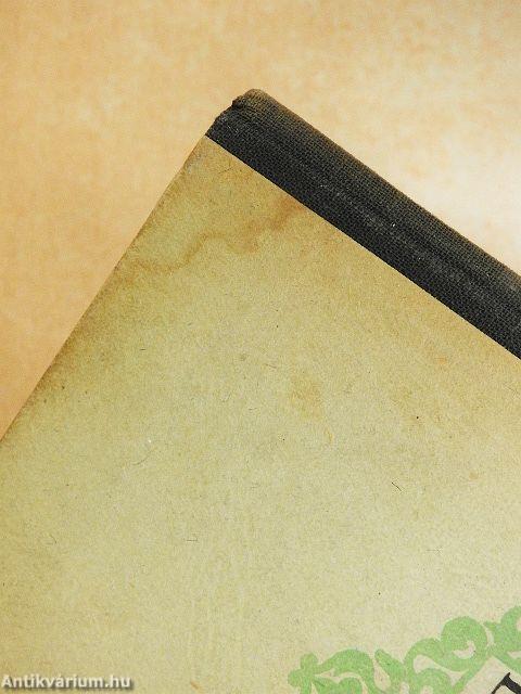 Ez mind én voltam egykor