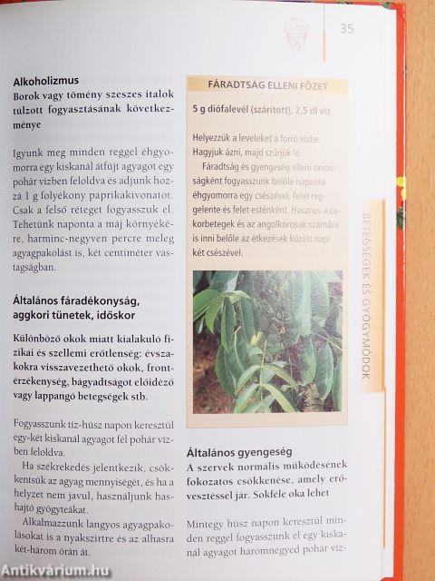 Gyógyító-szépítő pakolások, agyagkúrák